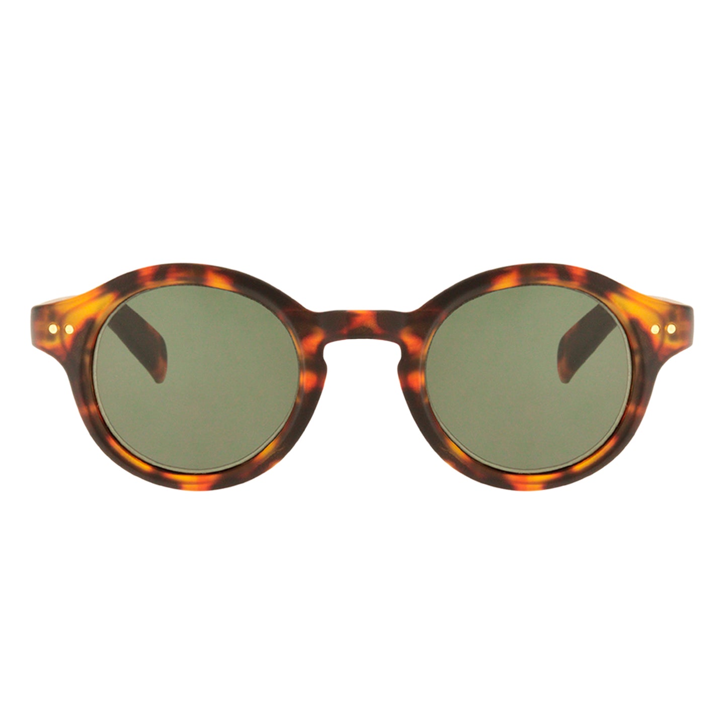 Scott Sun Walnut