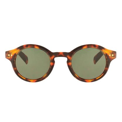 Scott Sun Walnut